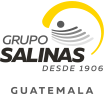 Grupo Salinas